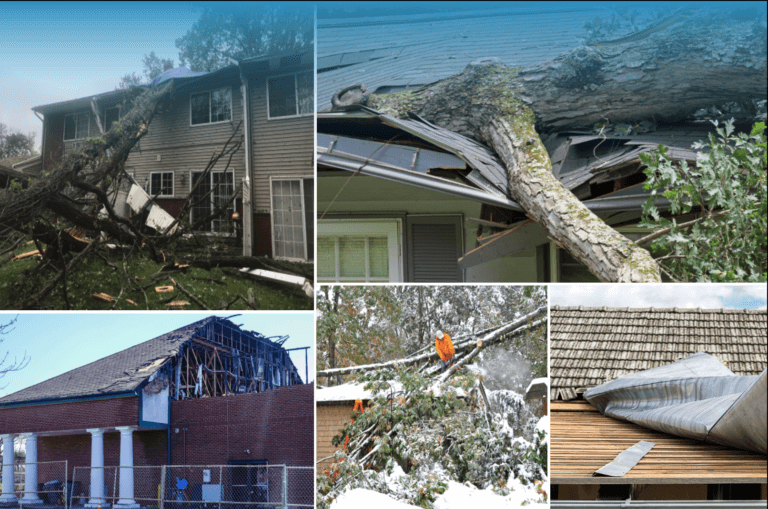Images of tree removal damage on home