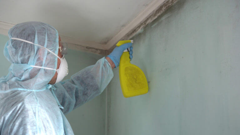 Man wearing mask removes mold from walls