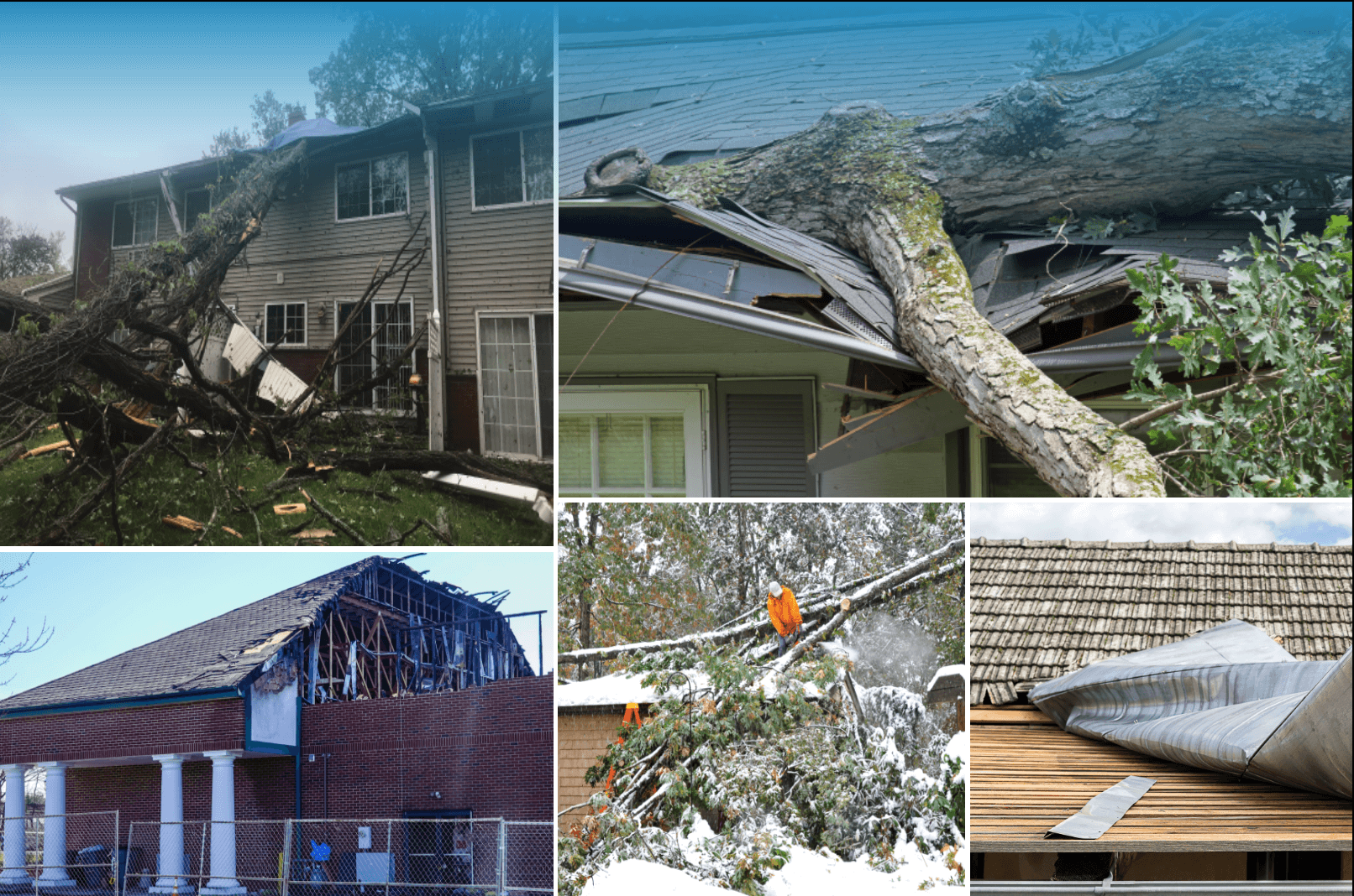 View of tree damage on houses