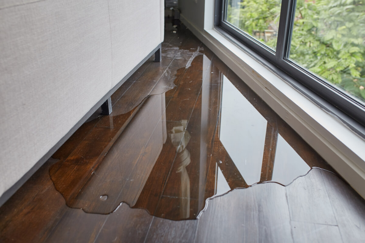 Water leaking on wooden floor