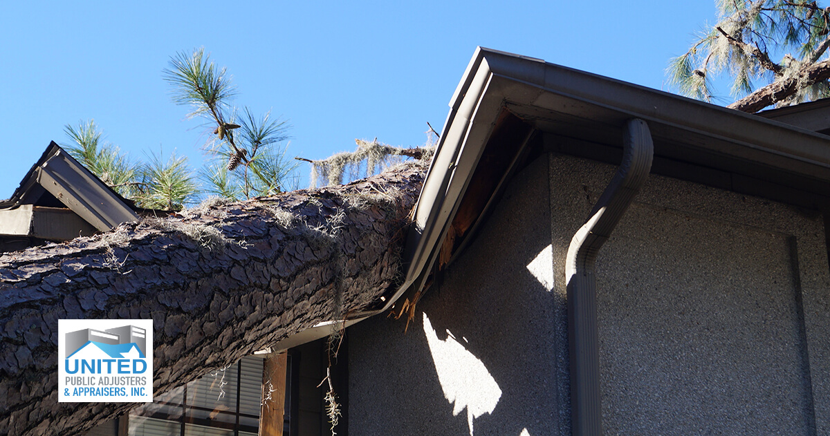 Tree collapse on top of house